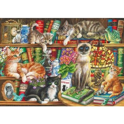 Yates: Katte og bøger, 1000 brikker