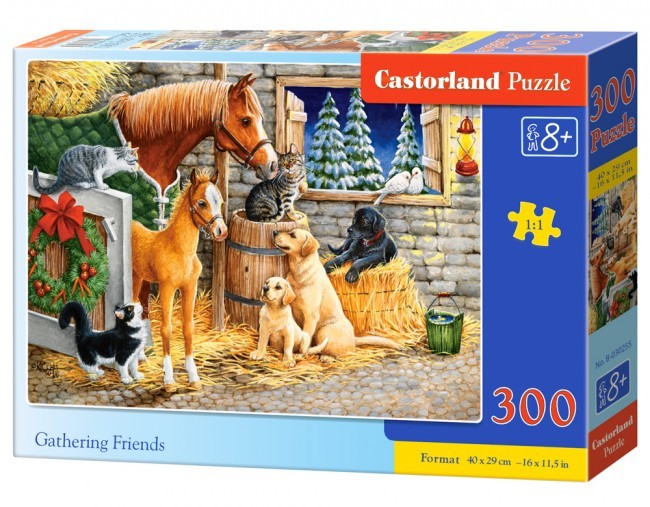 Et dyrebart møde, 300 brikker