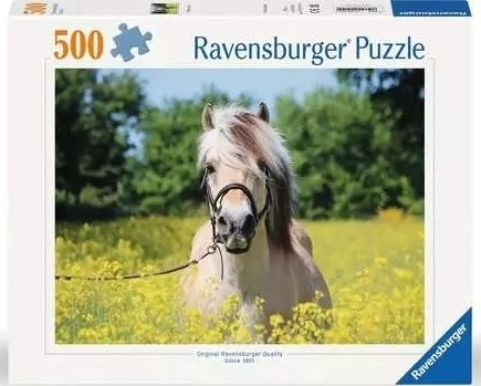 Hvid hest, 500 brikker