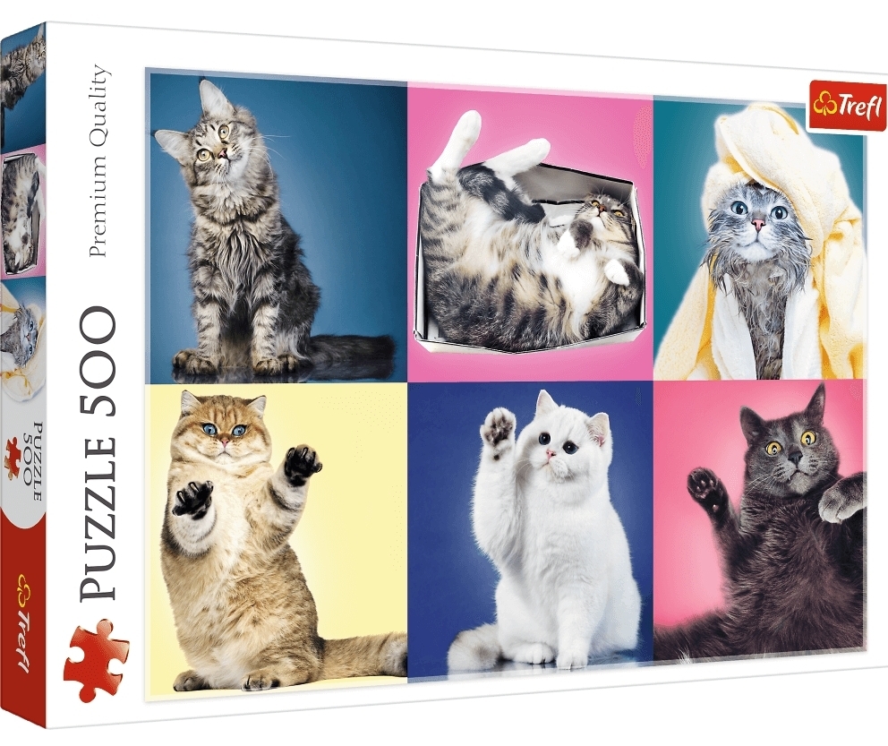 Collage: Herlige katte, 500 brikker