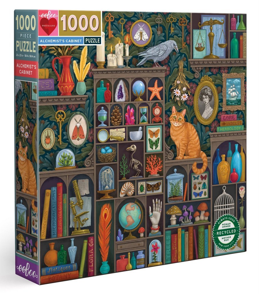Hjemme hos videnskabsmanden, 1000 brikker