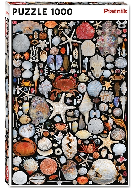 Collage: Strandfund, 1000 brikker
