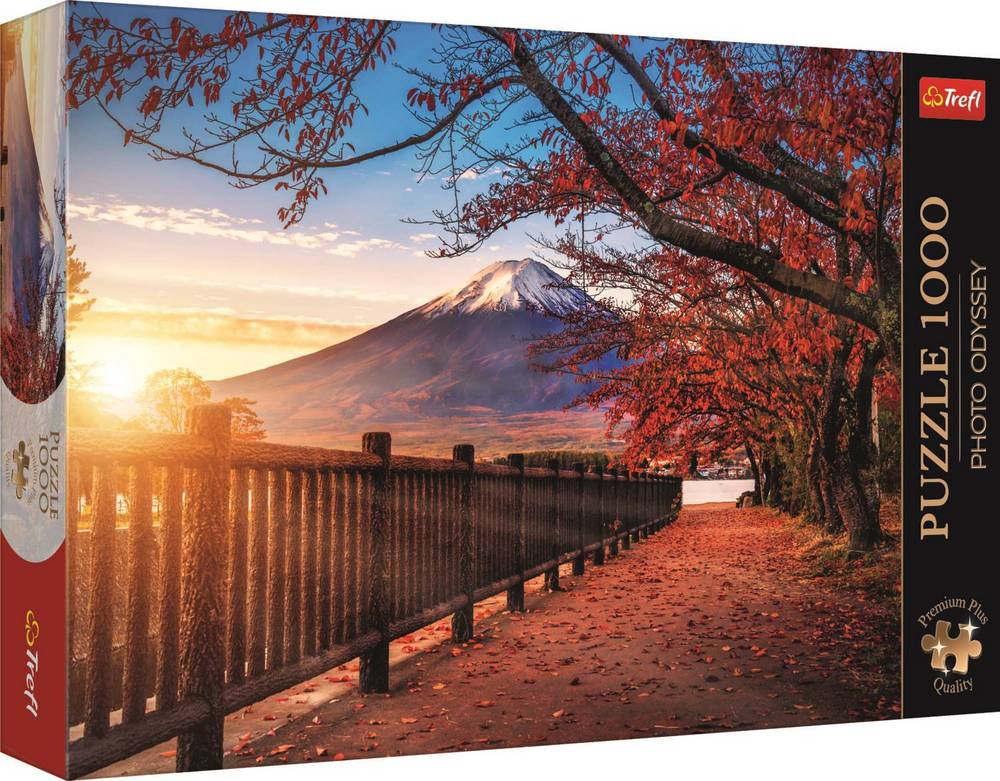 Japan: Mount Fuji, 1000 brikker