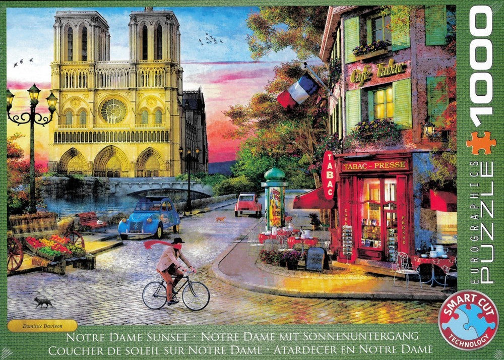 Davison: Notre Dame, 1000 brikker