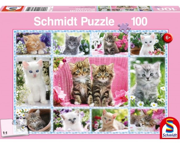 Kattekillinger, 100 brikker