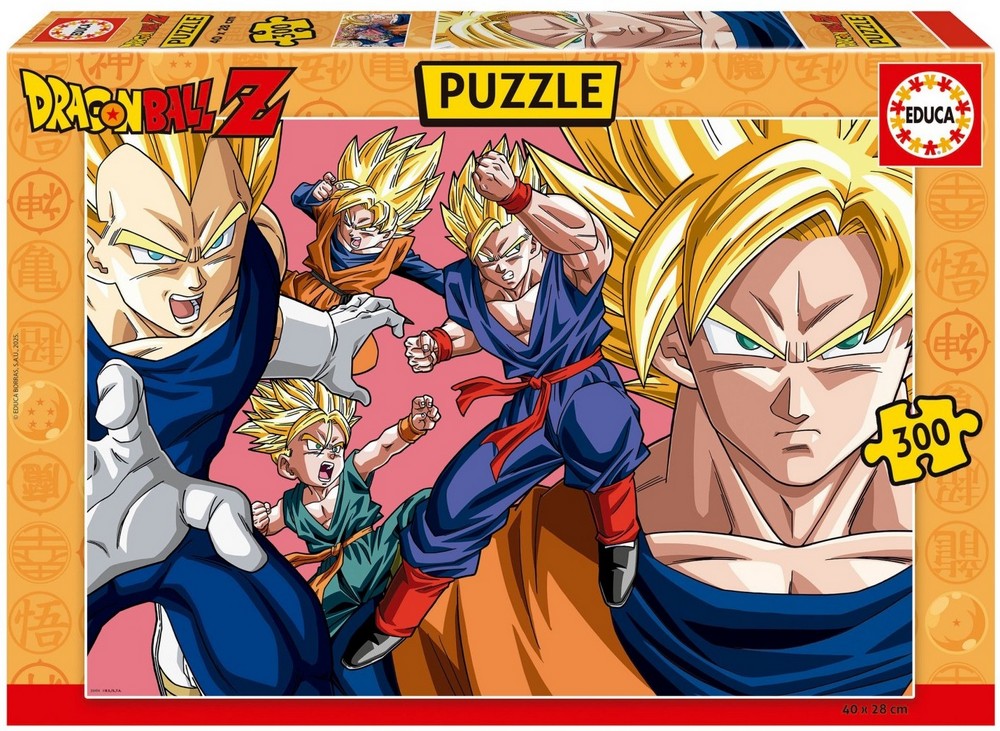 Dragon Ball Z, 300 brikker