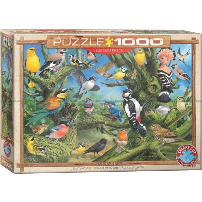 Francis: Havens fugle, 1000 brikker