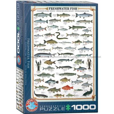 Ferskvandsfisk, 1000 brikker