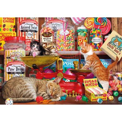 Steve Read: Katte elsker søde sager, 1000 brikker