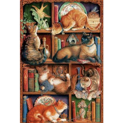 Kruskamp: Kattenes bogreol, 2000 brikker