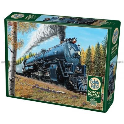 Tog: Santa Fe 3751, 1000 brikker