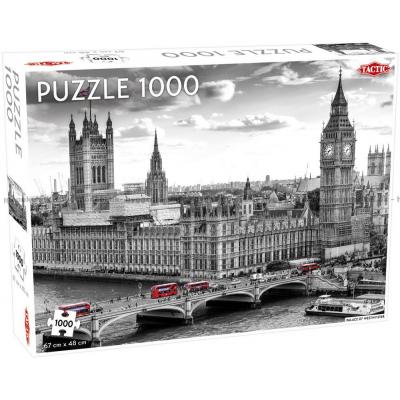 Westminster, London - i sort/hvid med farve, 1000 brikker