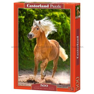 Haflinger hesten, 500 brikker