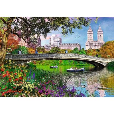 Billede af Davison: Central Park i New York, 1000 brikker