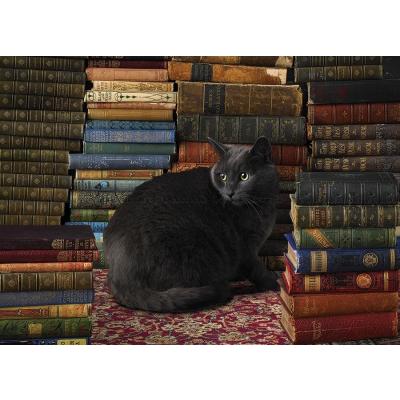 Katten i biblioteket, 1000 brikker
