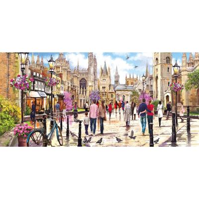 Macneil: Cambridge - Panorama, 636 brikker