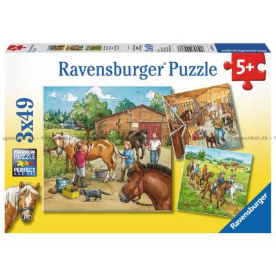 På rideskolen, 3x49 brikker