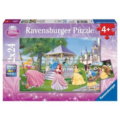 Disney prinsesser, 2x24 brikker