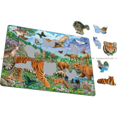 Billede af Sibirisk tiger - Rammepuslespil, 36 brikker