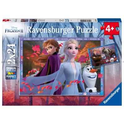 Disney: Frost 2, 2x24 brikker