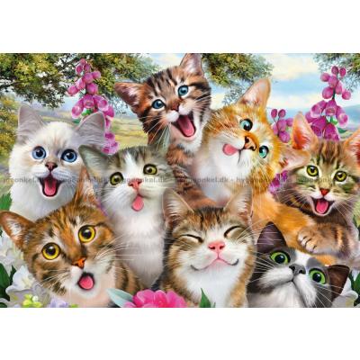 Billede af Robinson: Selfie - Katte, 500 brikker