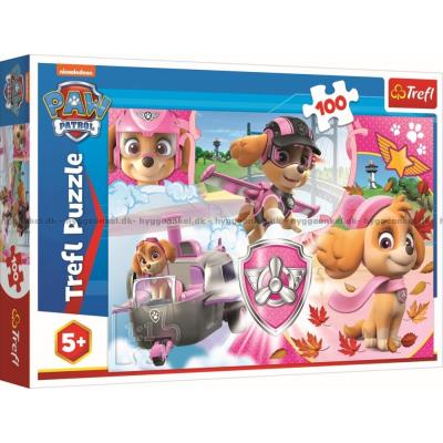 Paw Patrol: Skye i aktion, 100 brikker