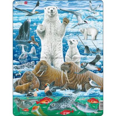 Polarområdet: Bjørne og hvalrosser - Rammepuslespil, 46 brikker