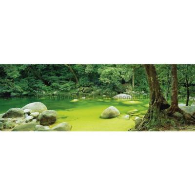Billede af Mark Gray: Mossmann Gorge - Panorama, 1000 brikker