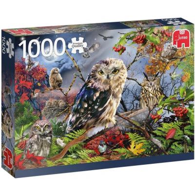 Uglerne i måneskinnet, 1000 brikker
