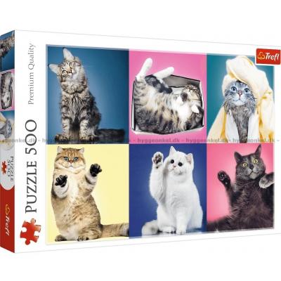 Collage: Herlige katte, 500 brikker
