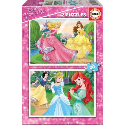 Disney prinsesser, 2x20 brikker
