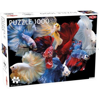 Tropiske fisk, 1000 brikker