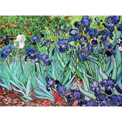 Van Gogh: Iris, 1000 brikker
