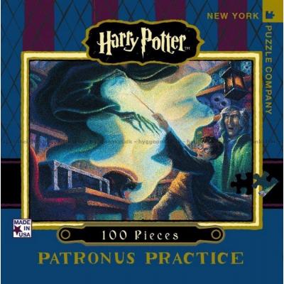 Harry Potter: Expect Patronum, 100 brikker