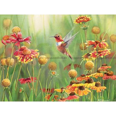 Billede af Bourdet: Kolibri blandt blomster, 500 brikker