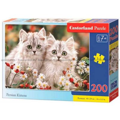 Persiske kattekillinger, 200 brikker