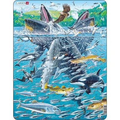 Hvalernes frokost - Rammepuslespil, 140 brikker