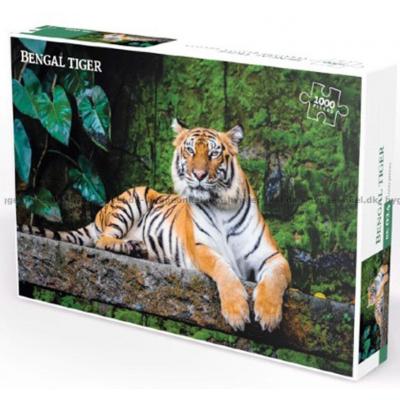 Bengalsk tiger, 1000 brikker