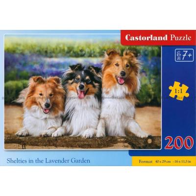 Shetland Sheepdogs hygger sig, 200 brikker