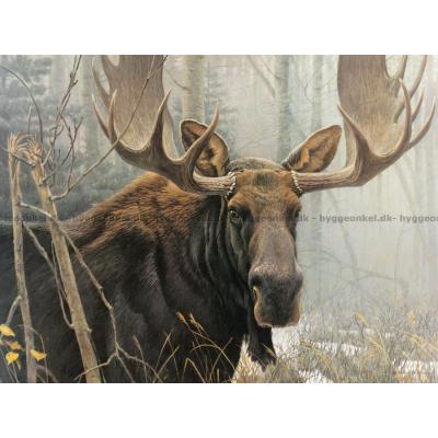 Billede af Bateman: Elgen, 500 brikker