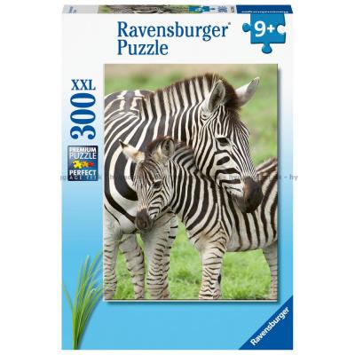 Zebraer, 300 brikker