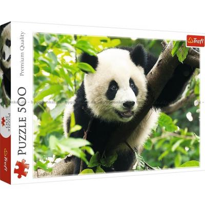 Panda, 500 brikker
