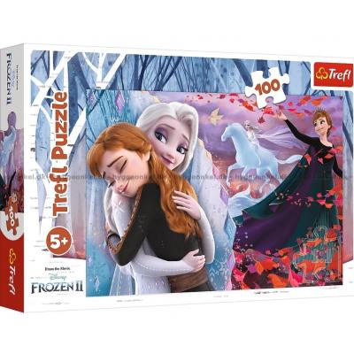Disney: Frost 2 - Sammen for altid, 100 brikker