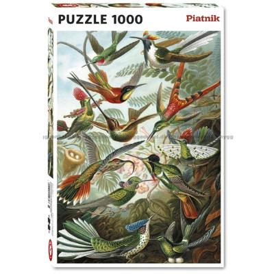 Haeckel: Kolibrier, 1000 brikker
