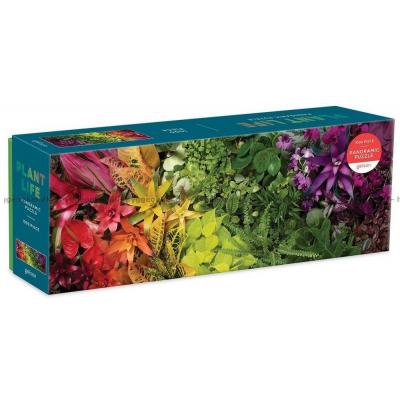Planter i regnbuens farver, 1000 brikker