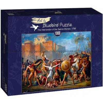 David: The Intervention of the Sabine Woman, 1000 brikker