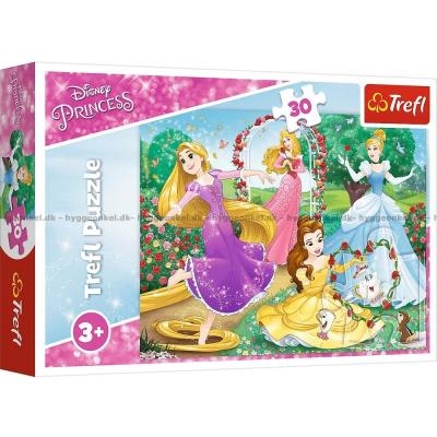 Disney prinsesser: I haven, 30 brikker