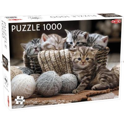 Legesyge killinger, 1000 brikker