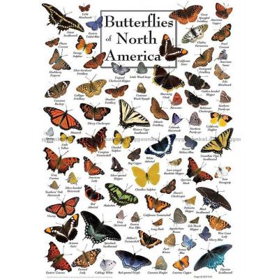Nordamerika: Sommerfugle, 1000 brikker