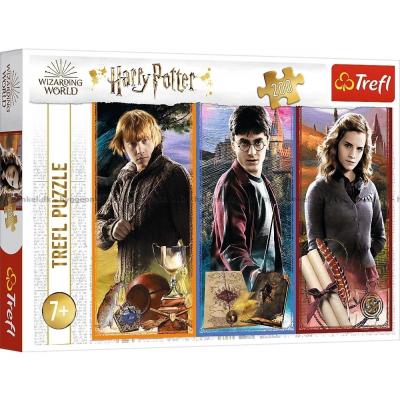 Harry Potter: Venner, 200 brikker